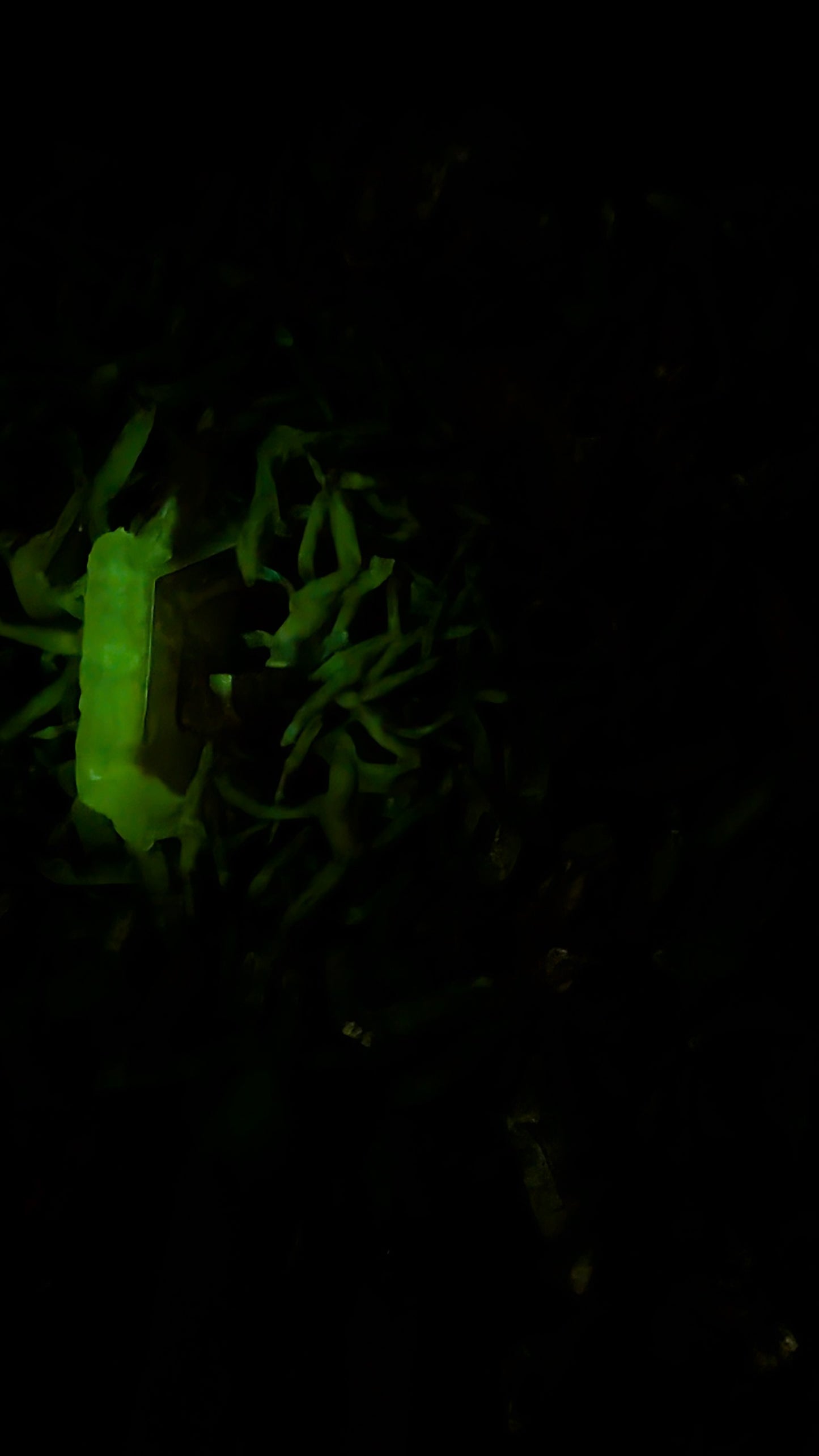 Large Fluorescent Bladed Calcite on Quartz with Green Afterglow