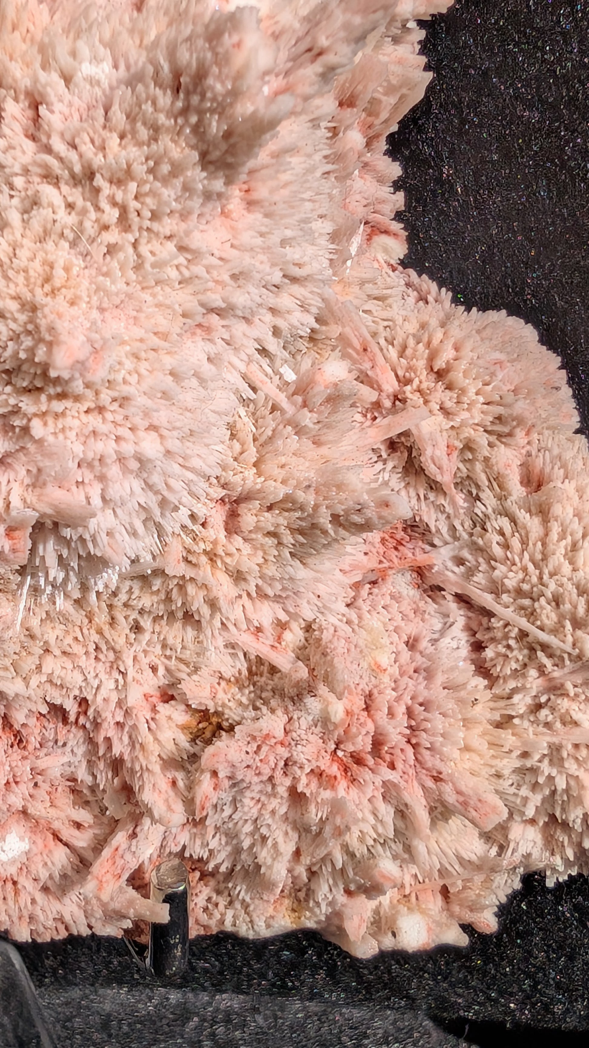 Macro shot of pink mordenite spikes 