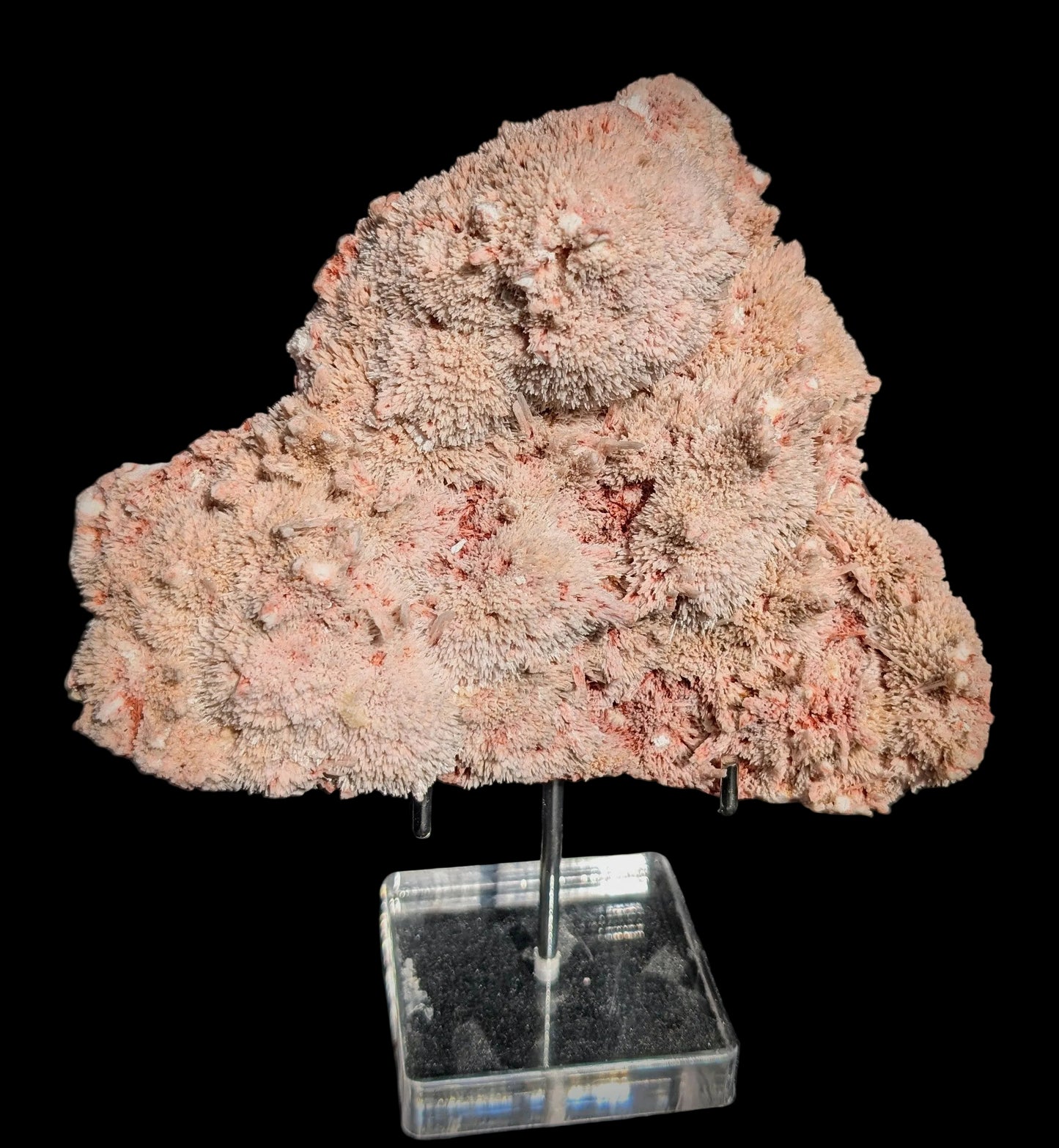pink mordenite crystal sprays on creamy white stilbite from India.