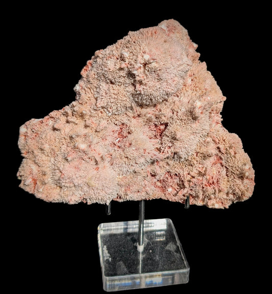 pink mordenite crystal sprays on creamy white stilbite from India.