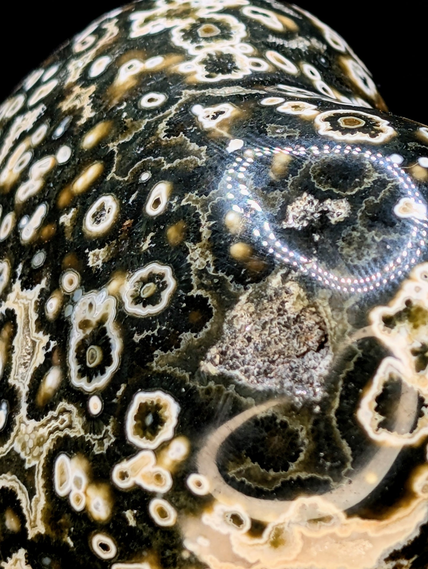 8th Vein Ocean Jasper Heart with Druzy Pocket | Polished Ocean Jasper Crystal Heart | Orbicular Jasper from Madagascar | 337g
