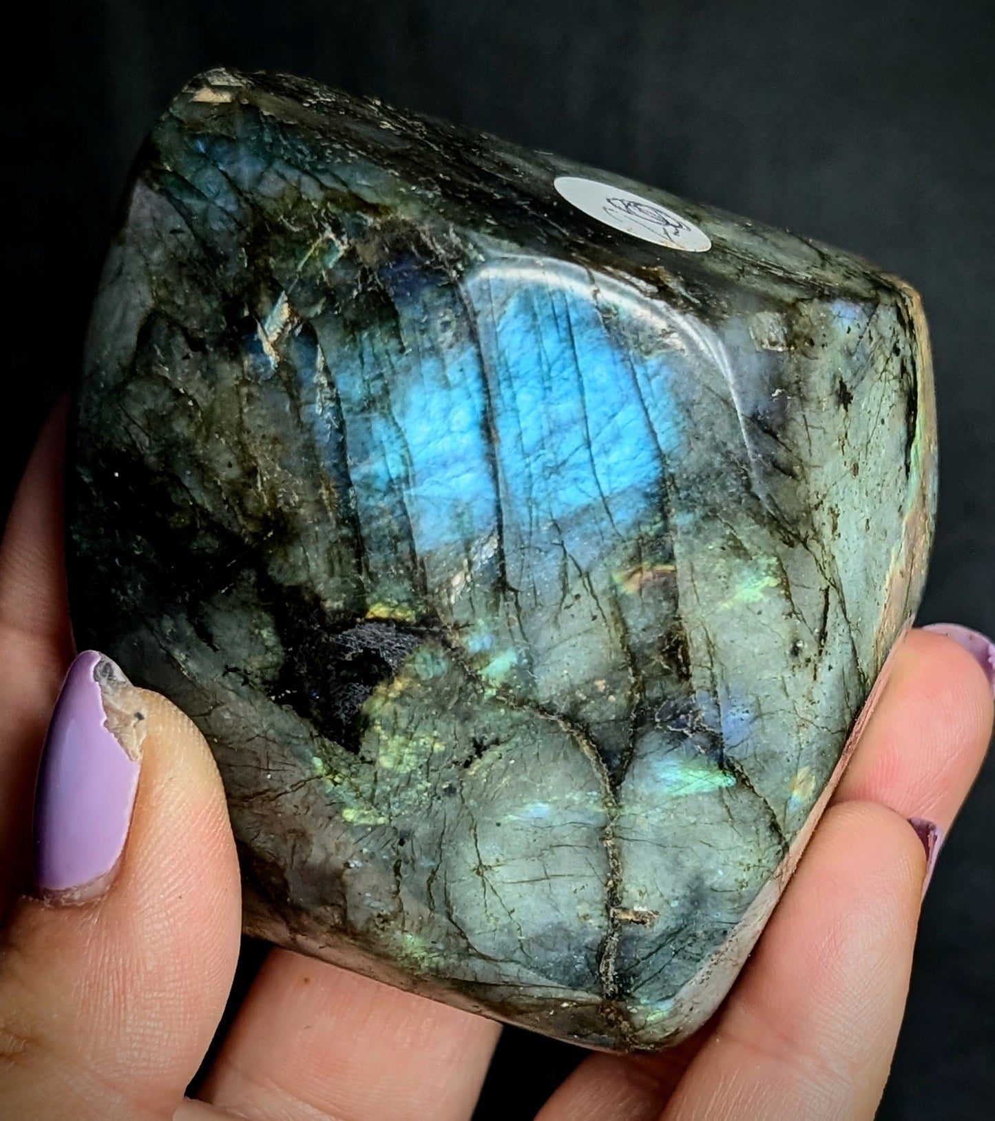 Premium Multi-Flash Labradorite Freeform | Madagascar