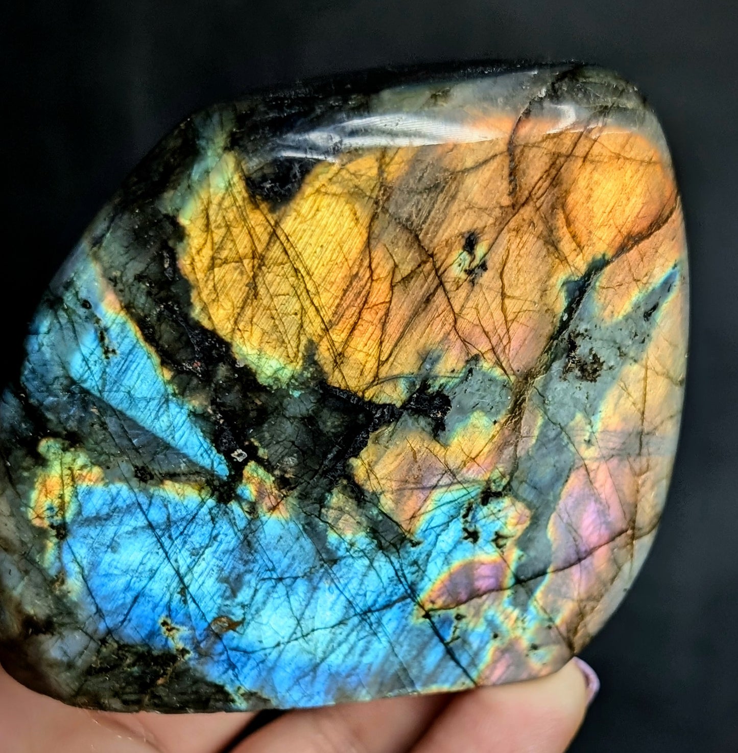 Premium Multi-Flash Labradorite Freeform | Madagascar