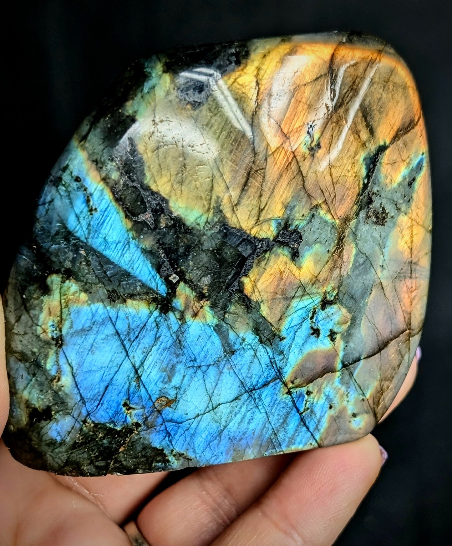 Premium Multi-Flash Labradorite Freeform | Madagascar