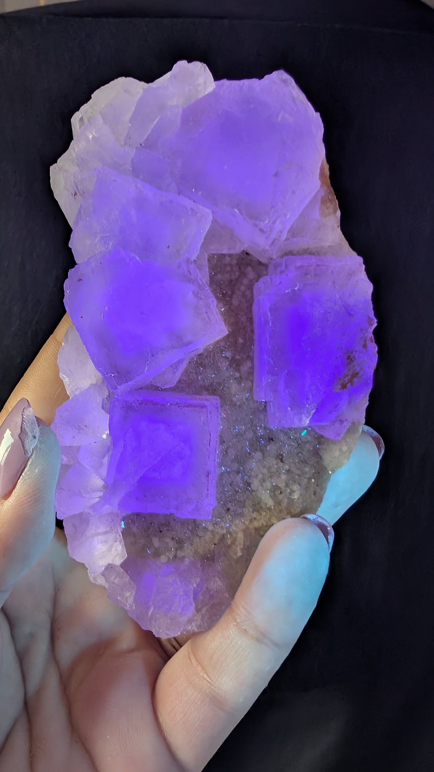 Pale Lavender Fluorite on Druzy Quartz | UV Reactive | 240g