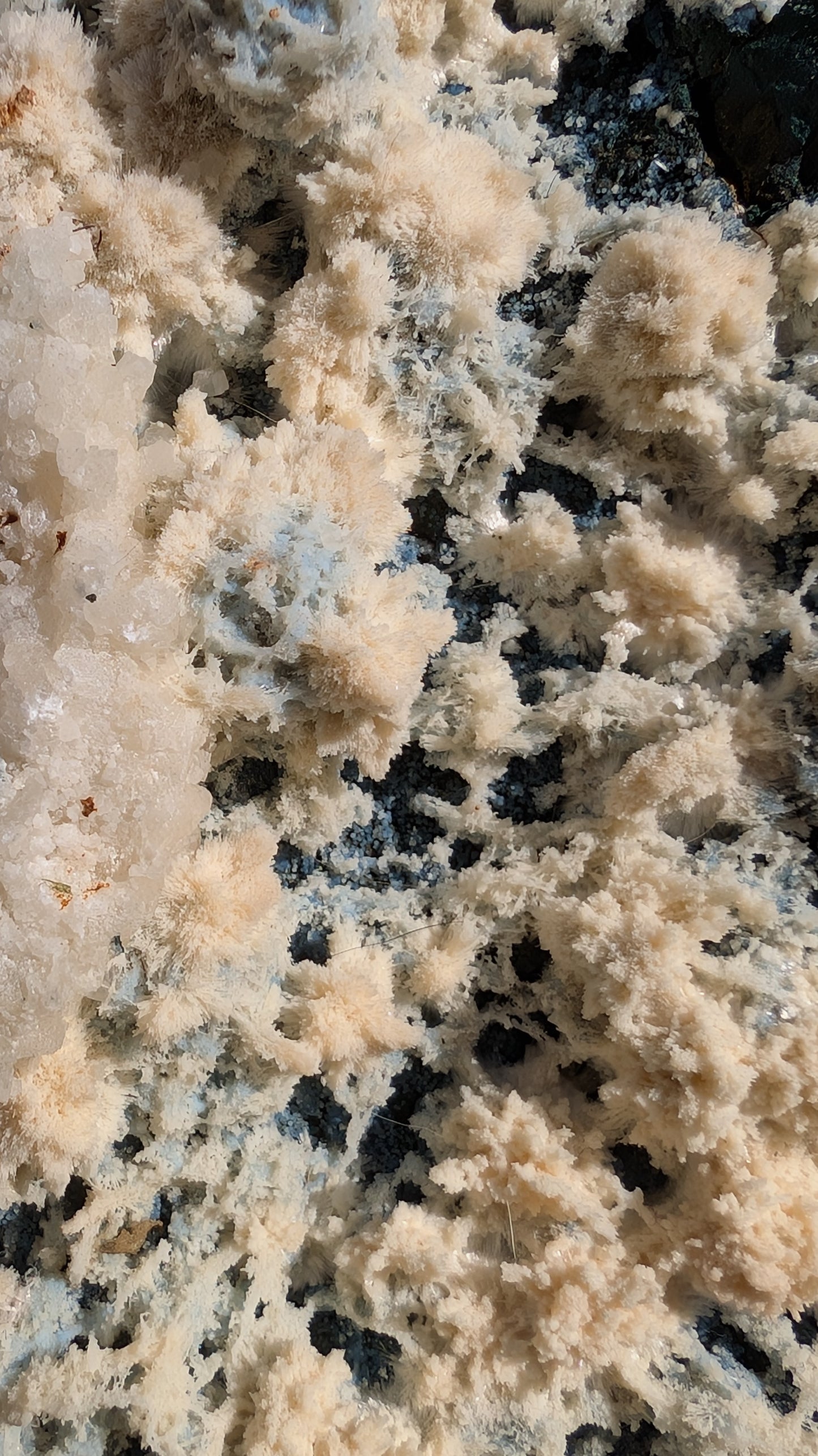 Blue Botryoidal Chalcedony with White Mordenite Sprays | Aurangabad, India | 1kg