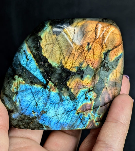 Premium Multi-Flash Labradorite Freeform | Madagascar
