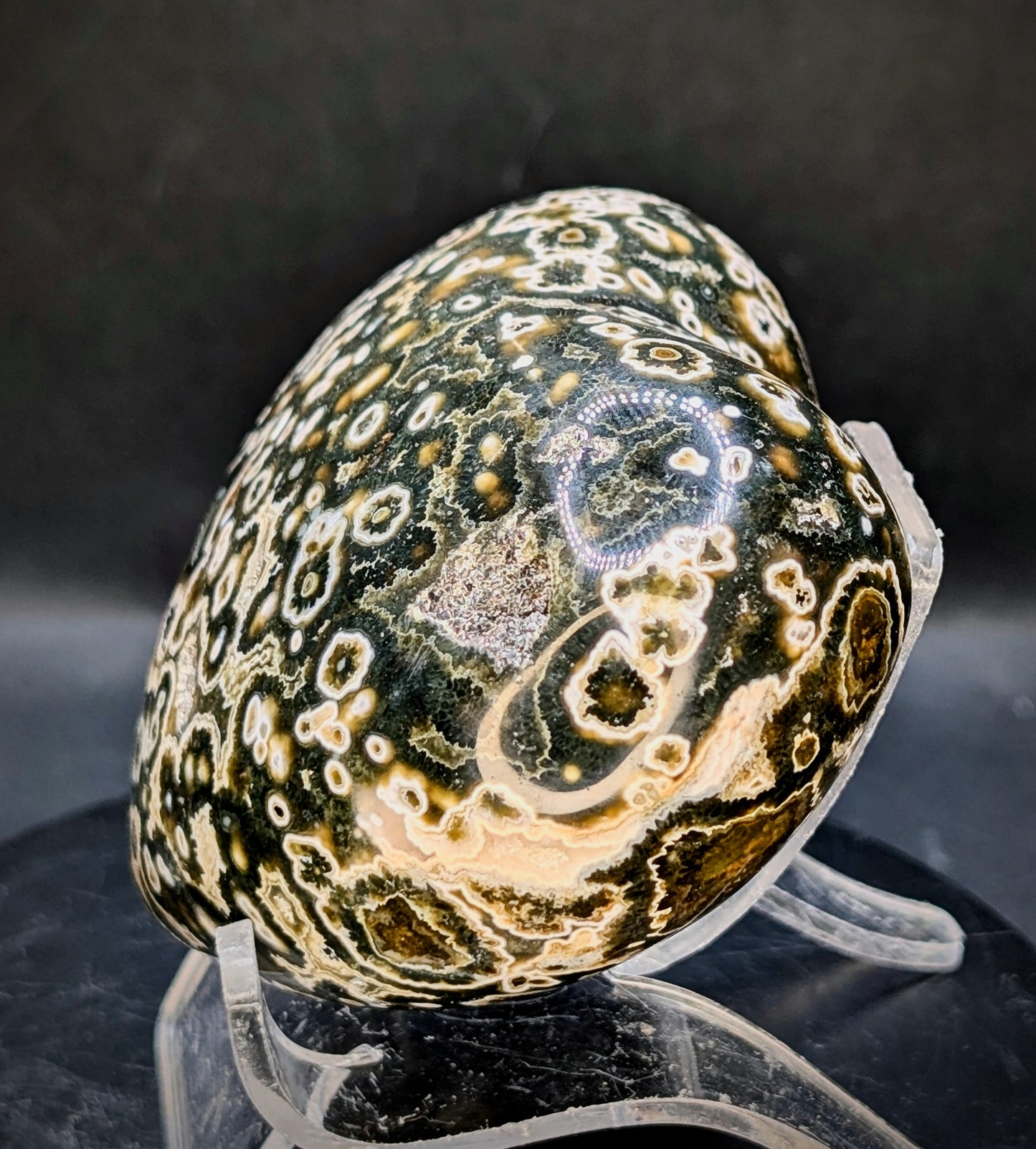 8th Vein Ocean Jasper Heart with Druzy Pocket | Polished Ocean Jasper Crystal Heart | Orbicular Jasper from Madagascar | 337g