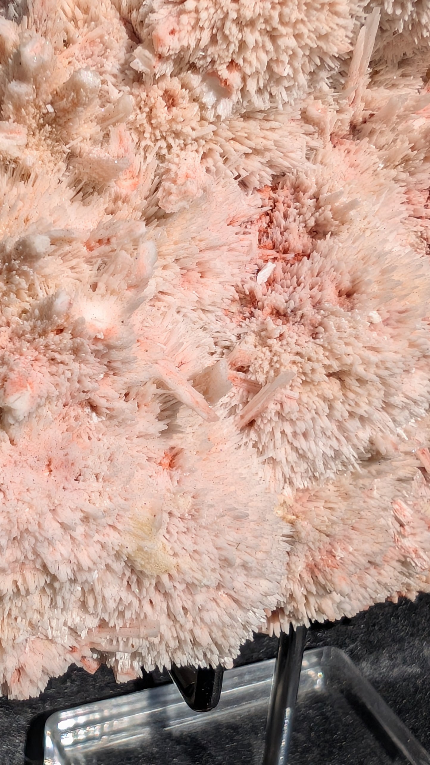 pink mordenite crystal sprays on creamy white stilbite from India.